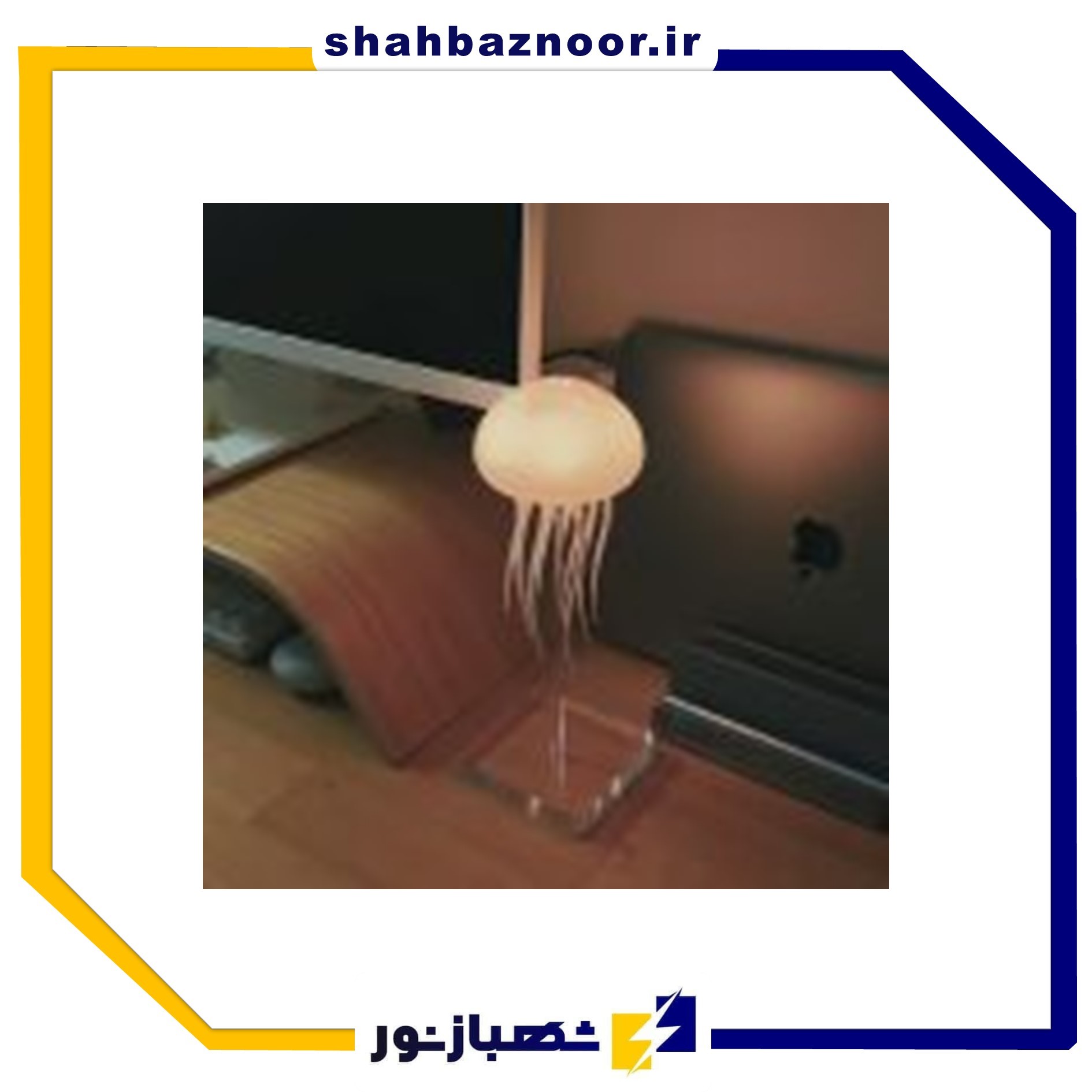 Slide18